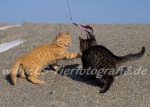 16 Pinky & Mampfi